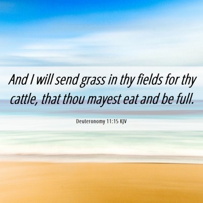 Picture 06 - Deuteronomy 11:15 KJV - And I will send grass in thy fields for thy - Bible Verse Picture