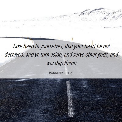 Picture 06 - Deuteronomy 11:16 KJV - Take heed to yourselves, that your heart be not - Bible Verse Picture