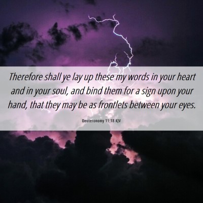 Picture 06 - Deuteronomy 11:18 KJV - Therefore shall ye lay up these my words in your - Bible Verse Picture