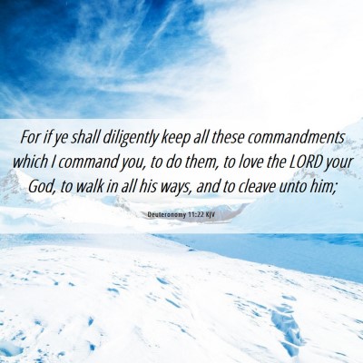 Picture 06 - Deuteronomy 11:22 KJV - For if ye shall diligently keep all these - Bible Verse Picture