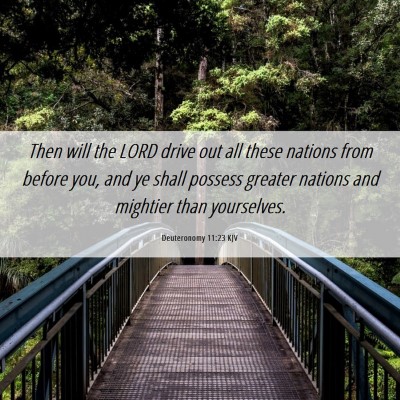 Picture 06 - Deuteronomy 11:23 KJV - Then will the LORD drive out all these nations - Bible Verse Picture
