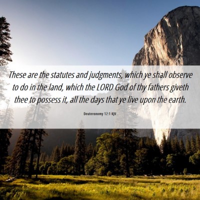 Picture 06 - Deuteronomy 12:1 KJV - These are the statutes and judgments, which ye - Bible Verse Picture