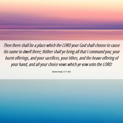 Picture 06 - Deuteronomy 12:11 KJV - Then there shall be a place which the LORD your - Bible Verse Picture