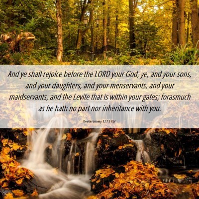 Picture 06 - Deuteronomy 12:12 KJV - And ye shall rejoice before the LORD your God, - Bible Verse Picture