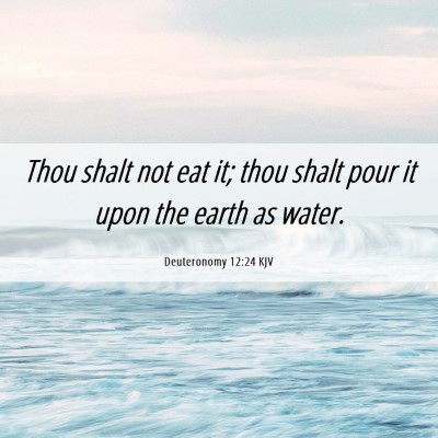 Picture 06 - Deuteronomy 12:24 KJV - Thou shalt not eat it; thou shalt pour it upon - Bible Verse Picture