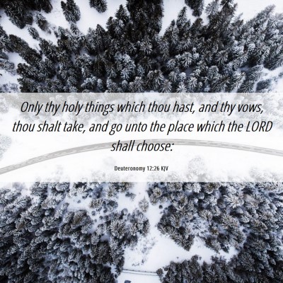 Picture 06 - Deuteronomy 12:26 KJV - Only thy holy things which thou hast, and thy - Bible Verse Picture