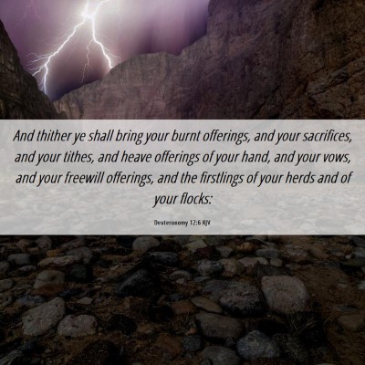 Picture 06 - Deuteronomy 12:6 KJV - And thither ye shall bring your burnt offerings, - Bible Verse Picture