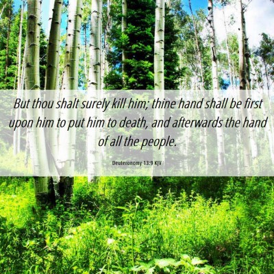 Picture 06 - Deuteronomy 13:9 KJV - But thou shalt surely kill him; thine hand shall - Bible Verse Picture