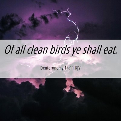 Picture 06 - Deuteronomy 14:11 KJV - Of all clean birds ye shall - Bible Verse Picture