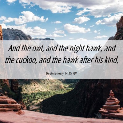 Picture 06 - Deuteronomy 14:15 KJV - And the owl, and the night hawk, and the cuckoo, - Bible Verse Picture