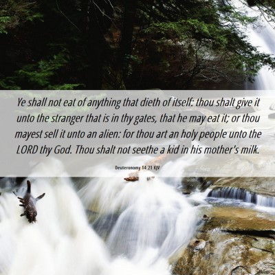 Picture 06 - Deuteronomy 14:21 KJV - Ye shall not eat of anything that dieth of - Bible Verse Picture