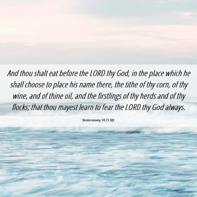 Picture 06 - Deuteronomy 14:23 KJV - And thou shalt eat before the LORD thy God, in - Bible Verse Picture
