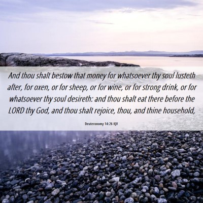 Picture 06 - Deuteronomy 14:26 KJV - And thou shalt bestow that money for whatsoever - Bible Verse Picture