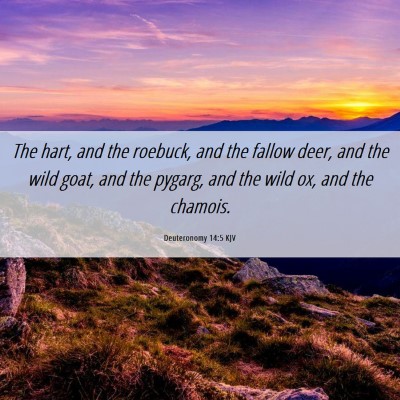 Picture 06 - Deuteronomy 14:5 KJV - The hart, and the roebuck, and the fallow deer, - Bible Verse Picture