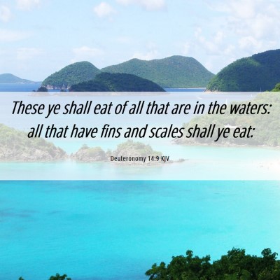 Picture 06 - Deuteronomy 14:9 KJV - These ye shall eat of all that are in the waters: - Bible Verse Picture