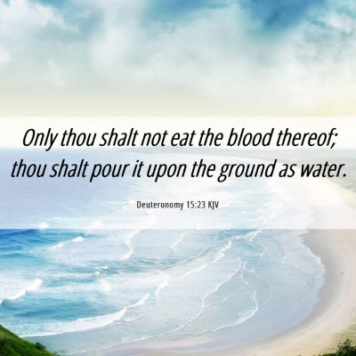 Picture 06 - Deuteronomy 15:23 KJV - Only thou shalt not eat the blood thereof; thou - Bible Verse Picture
