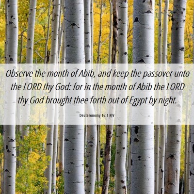 Picture 06 - Deuteronomy 16:1 KJV - Observe the month of Abib, and keep the passover - Bible Verse Picture