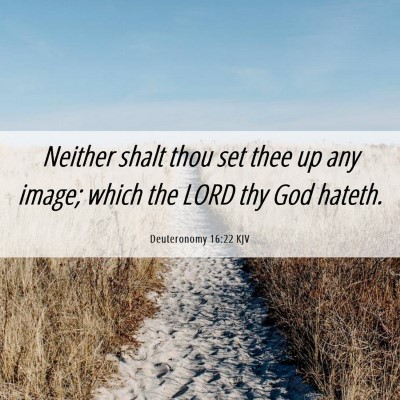 Picture 06 - Deuteronomy 16:22 KJV - Neither shalt thou set thee up any image; which - Bible Verse Picture