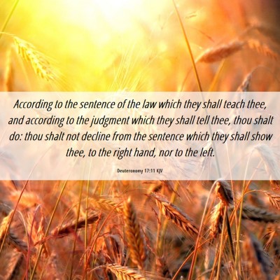 Picture 06 - Deuteronomy 17:11 KJV - According to the sentence of the law which they - Bible Verse Picture
