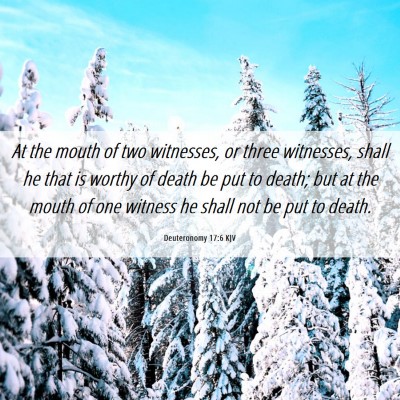 Picture 06 - Deuteronomy 17:6 KJV - At the mouth of two witnesses, or three - Bible Verse Picture