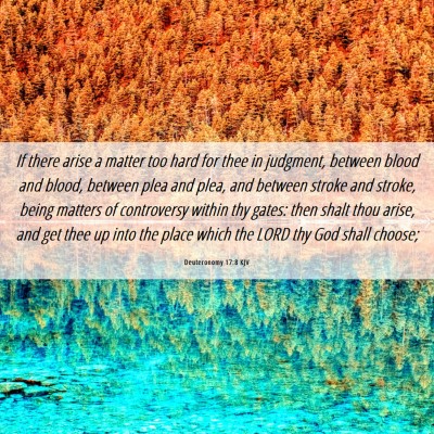 Picture 06 - Deuteronomy 17:8 KJV - If there arise a matter too hard for thee in - Bible Verse Picture