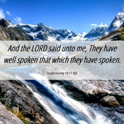 Picture 06 - Deuteronomy 18:17 KJV - And the LORD said unto me, They have well spoken - Bible Verse Picture