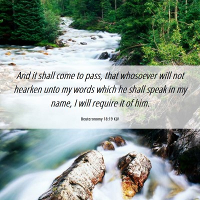 Picture 06 - Deuteronomy 18:19 KJV - And it shall come to pass, that whosoever will - Bible Verse Picture