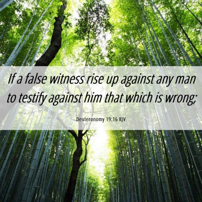 Picture 06 - Deuteronomy 19:16 KJV - If a false witness rise up against any man to - Bible Verse Picture