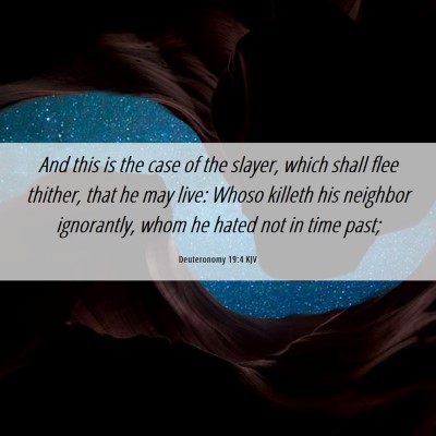 Picture 06 - Deuteronomy 19:4 KJV - And this is the case of the slayer, which shall - Bible Verse Picture