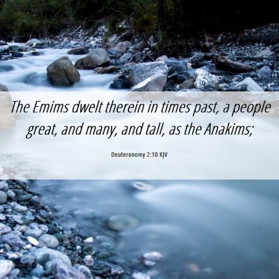 Picture 06 - Deuteronomy 2:10 KJV - The Emims dwelt therein in times past, a people - Bible Verse Picture