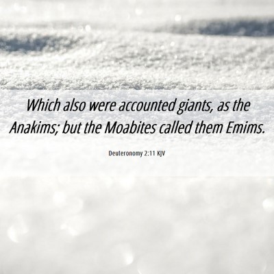 Picture 06 - Deuteronomy 2:11 KJV - Which also were accounted giants, as the Anakims; - Bible Verse Picture