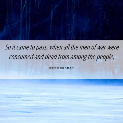 Picture 06 - Deuteronomy 2:16 KJV - So it came to pass, when all the men of war were - Bible Verse Picture