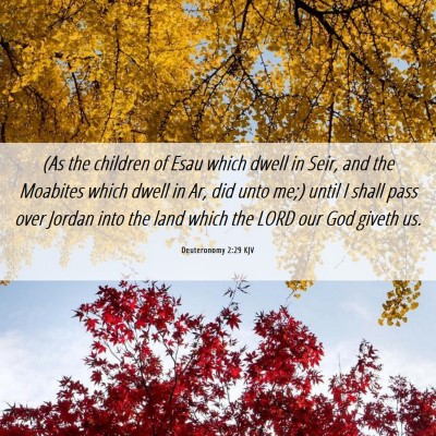 Picture 06 - Deuteronomy 2:29 KJV - (As the children of Esau which dwell in Seir, and - Bible Verse Picture