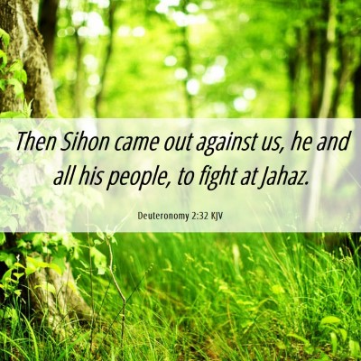 Picture 06 - Deuteronomy 2:32 KJV - Then Sihon came out against us, he and all his - Bible Verse Picture