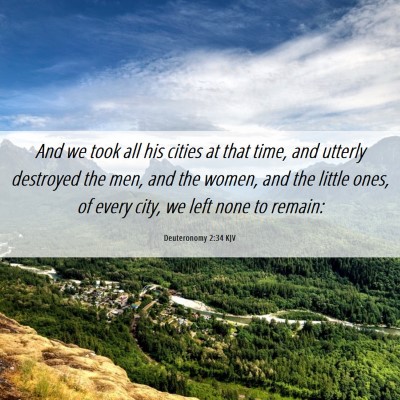 Picture 06 - Deuteronomy 2:34 KJV - And we took all his cities at that time, and - Bible Verse Picture