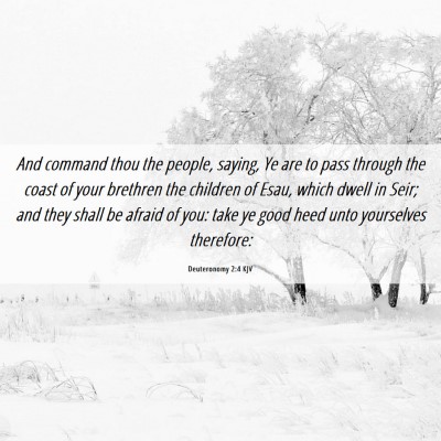 Picture 06 - Deuteronomy 2:4 KJV - And command thou the people, saying, Ye are to - Bible Verse Picture