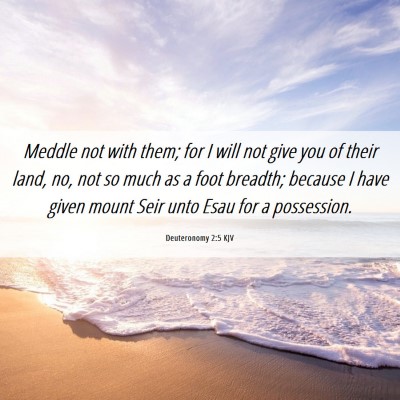 Picture 06 - Deuteronomy 2:5 KJV - Meddle not with them; for I will not give you of - Bible Verse Picture