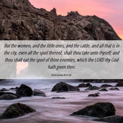 Picture 06 - Deuteronomy 20:14 KJV - But the women, and the little ones, and the - Bible Verse Picture