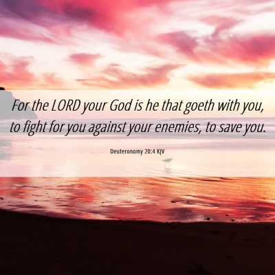 Picture 06 - Deuteronomy 20:4 KJV - For the LORD your God is he that goeth with you, - Bible Verse Picture