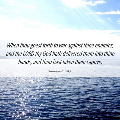 Picture 06 - Deuteronomy 21:10 KJV - When thou goest forth to war against thine - Bible Verse Picture