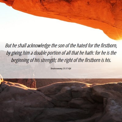 Picture 06 - Deuteronomy 21:17 KJV - But he shall acknowledge the son of the hated for - Bible Verse Picture