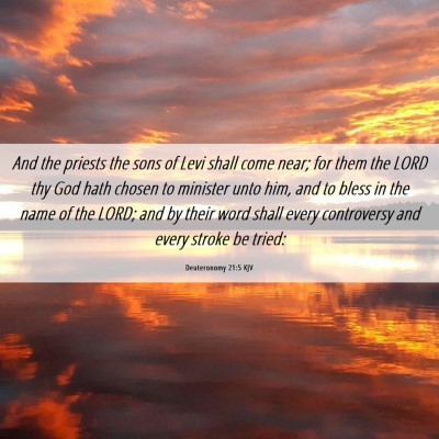 Picture 06 - Deuteronomy 21:5 KJV - And the priests the sons of Levi shall come near; - Bible Verse Picture