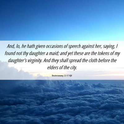 Picture 06 - Deuteronomy 22:17 KJV - And, lo, he hath given occasions of speech - Bible Verse Picture