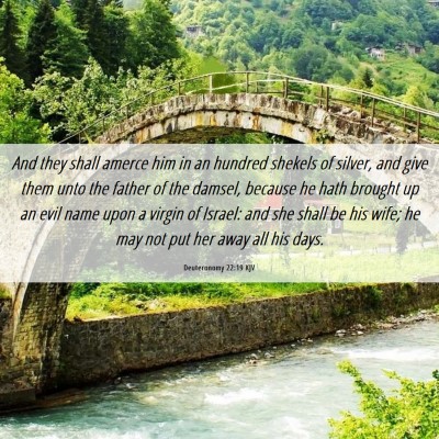 Picture 06 - Deuteronomy 22:19 KJV - And they shall amerce him in an hundred shekels - Bible Verse Picture