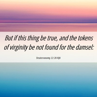 Picture 06 - Deuteronomy 22:20 KJV - But if this thing be true, and the tokens of - Bible Verse Picture