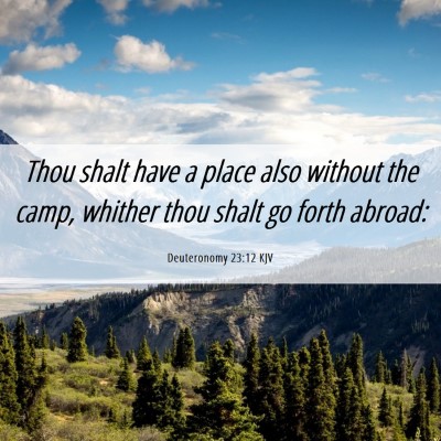 Picture 06 - Deuteronomy 23:12 KJV - Thou shalt have a place also without the camp, - Bible Verse Picture