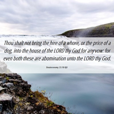 Picture 06 - Deuteronomy 23:18 KJV - Thou shalt not bring the hire of a whore, or the - Bible Verse Picture