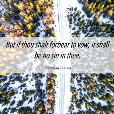 Picture 06 - Deuteronomy 23:22 KJV - But if thou shalt forbear to vow, it shall be no - Bible Verse Picture