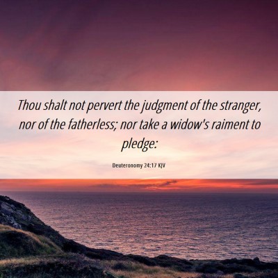 Picture 06 - Deuteronomy 24:17 KJV - Thou shalt not pervert the judgment of the - Bible Verse Picture