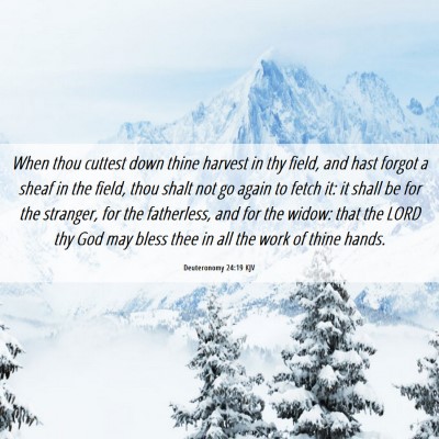 Picture 06 - Deuteronomy 24:19 KJV - When thou cuttest down thine harvest in thy - Bible Verse Picture